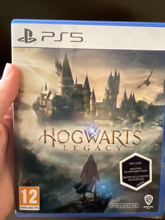 Hogwarts Legacy: Xbox-One-Version ab sofort erhältlich
